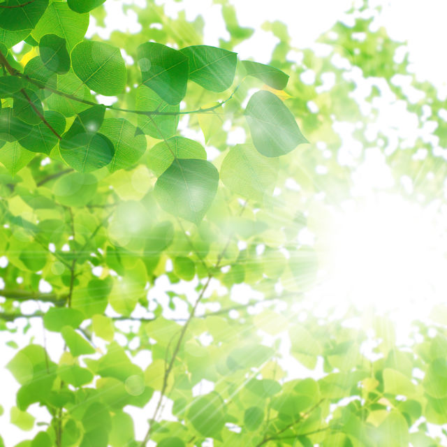 AdobeStock_111550214